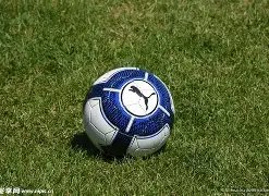 赵继伟精准,传球,张镇麟力挽,皇冠体育,皇冠体育平台,皇冠体育官网